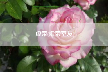 虚荣(虚荣室友)
