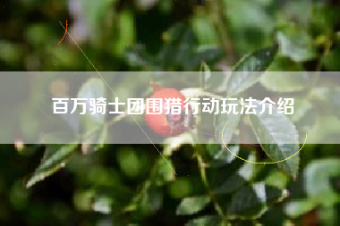 百万骑士团围猎行动玩法介绍