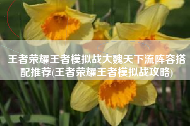 王者荣耀王者模拟战大魏天下流阵容搭配推荐(王者荣耀王者模拟战攻略)
