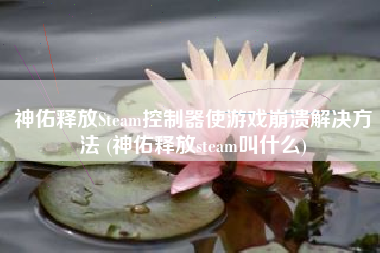 神佑释放Steam控制器使游戏崩溃解决方法 (神佑释放steam叫什么)