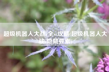 超级机器人大战v全sr攻略(超级机器人大战v隐藏要素)