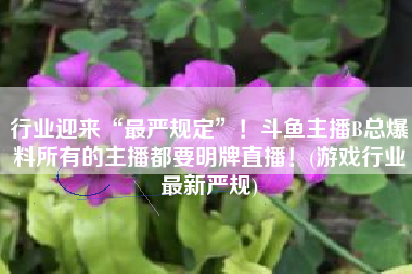 行业迎来“最严规定”！斗鱼主播B总爆料所有的主播都要明牌直播！(游戏行业最新严规)