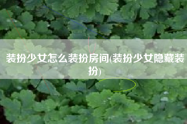 装扮少女怎么装扮房间(装扮少女隐藏装扮)