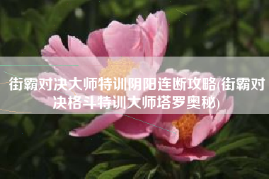 街霸对决大师特训阴阳连断攻略(街霸对决格斗特训大师塔罗奥秘)
