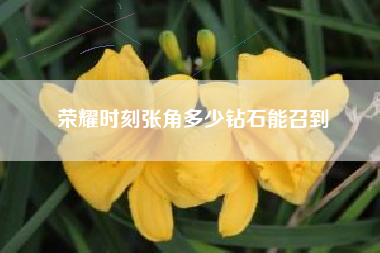 荣耀时刻张角多少钻石能召到