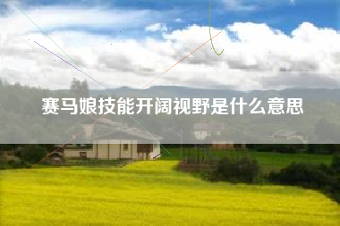 赛马娘技能开阔视野是什么意思