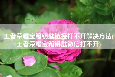 王者荣耀宝箱钥匙链接打不开解决方法(王者荣耀宝箱钥匙微信打不开)