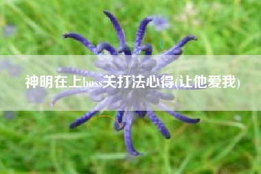 神明在上boss关打法心得(让他爱我)