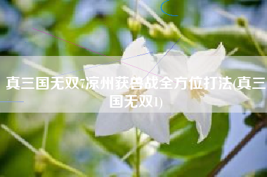 真三国无双7凉州获兽战全方位打法(真三国无双1)