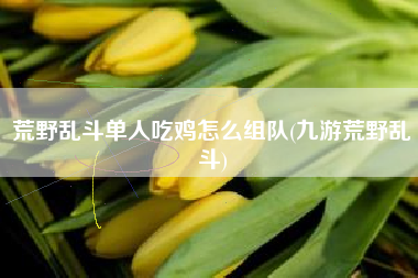 荒野乱斗单人吃鸡怎么组队(九游荒野乱斗)