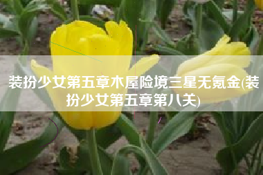 装扮少女第五章木屋险境三星无氪金(装扮少女第五章第八关)