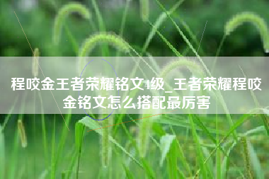 程咬金王者荣耀铭文4级_王者荣耀程咬金铭文怎么搭配最厉害