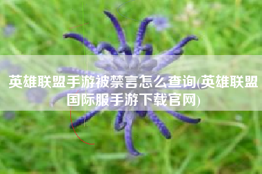 英雄联盟手游被禁言怎么查询(英雄联盟国际服手游下载官网)