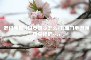 蜀门手游41级英雄本怎么打(蜀门手游通用兑换码SS7)