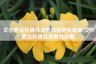 艾尔登法环通往圣树的密道在哪里(艾尔登法环通往圣树的密道)