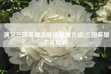 演义三国英雄志队伍配置介绍(三国英雄志礼包码)