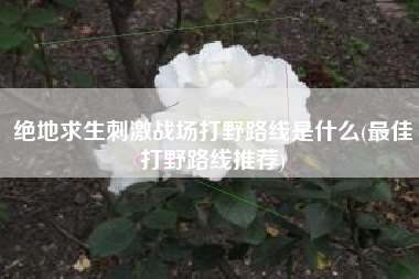 绝地求生刺激战场打野路线是什么(最佳打野路线推荐)