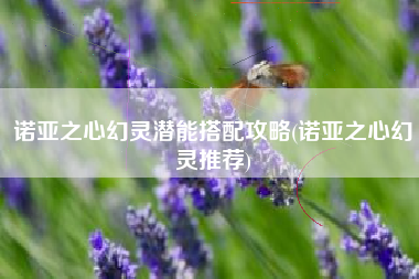 诺亚之心幻灵潜能搭配攻略(诺亚之心幻灵推荐)
