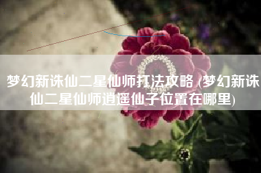 梦幻新诛仙二星仙师打法攻略 (梦幻新诛仙二星仙师逍遥仙子位置在哪里)