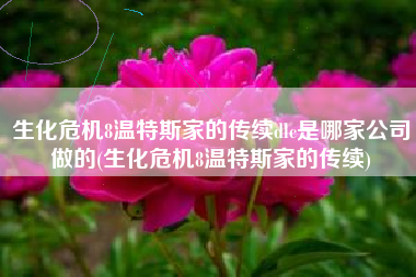 生化危机8温特斯家的传续dlc是哪家公司做的(生化危机8温特斯家的传续)