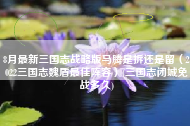 8月最新三国志战略版马腾是拆还是留（2022三国志魏盾最佳阵容）(三国志闭城免战多久)