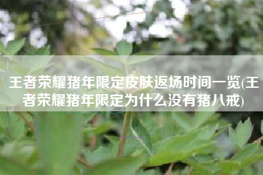 王者荣耀猪年限定皮肤返场时间一览(王者荣耀猪年限定为什么没有猪八戒)