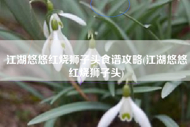 江湖悠悠红烧狮子头食谱攻略(江湖悠悠红烧狮子头)