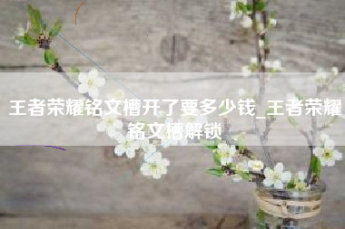 王者荣耀铭文槽开了要多少钱_王者荣耀铭文槽解锁