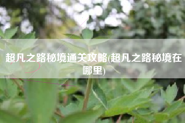 超凡之路秘境通关攻略(超凡之路秘境在哪里)