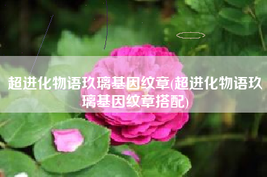 超进化物语玖璃基因纹章(超进化物语玖璃基因纹章搭配)