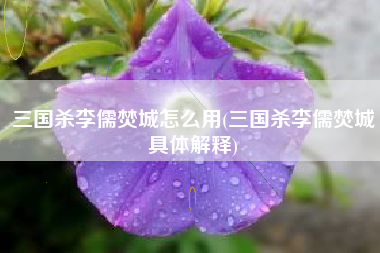 三国杀李儒焚城怎么用(三国杀李儒焚城具体解释)