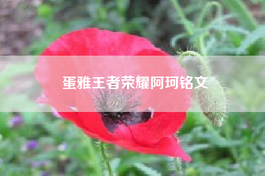 蛋雅王者荣耀阿珂铭文