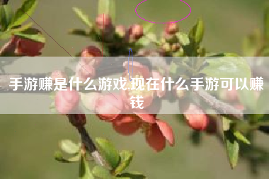 手游赚是什么游戏,现在什么手游可以赚钱