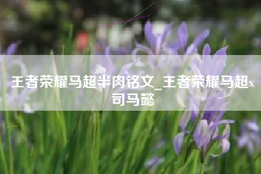 王者荣耀马超半肉铭文_王者荣耀马超x司马懿