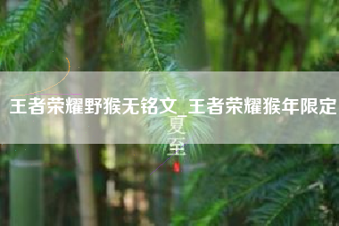 王者荣耀野猴无铭文_王者荣耀猴年限定