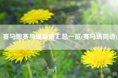 赛马娘赛马场坂路汇总一览(赛马场简谱)