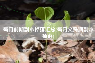 蜀门前期副本掉落汇总(蜀门文殊洞副本掉落)