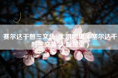 赛尔达干煎三文鱼_大姐哪里（塞尔达干煎三文鱼 大姐哪里）