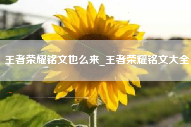 王者荣耀铭文也么来_王者荣耀铭文大全