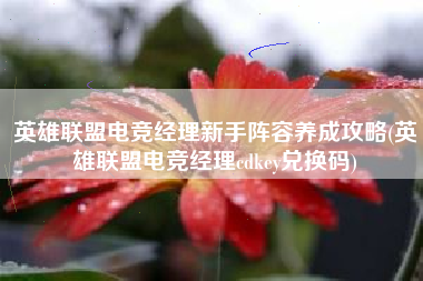英雄联盟电竞经理新手阵容养成攻略(英雄联盟电竞经理cdkey兑换码)