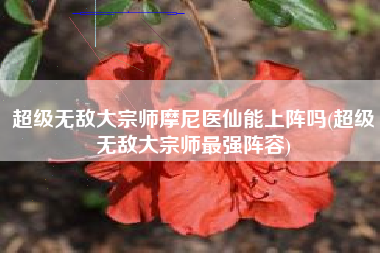 超级无敌大宗师摩尼医仙能上阵吗(超级无敌大宗师最强阵容)