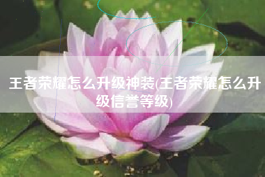 王者荣耀怎么升级神装(王者荣耀怎么升级信誉等级)