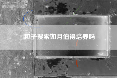 粒子搜索如月值得培养吗