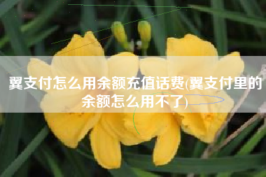 翼支付怎么用余额充值话费(翼支付里的余额怎么用不了)