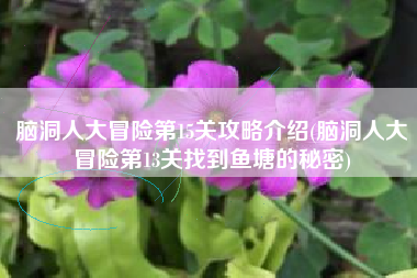 脑洞人大冒险第15关攻略介绍(脑洞人大冒险第13关找到鱼塘的秘密)