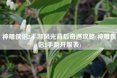 神雕侠侣2手游风光背后奇遇攻略(神雕侠侣2手游开服表)