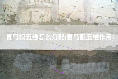 赛马娘五维怎么分配(赛马娘五维作用)
