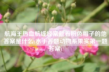 航海王热血航线经常戴着粉色帽子的他答案是什么(水手答题动物系果实第一题答案)