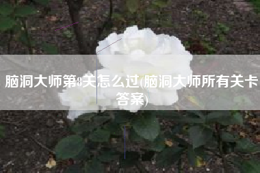 脑洞大师第8关怎么过(脑洞大师所有关卡答案)
