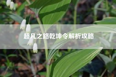 超凡之路乾坤令解析攻略